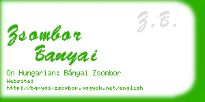 zsombor banyai business card