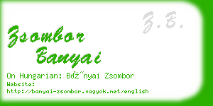 zsombor banyai business card